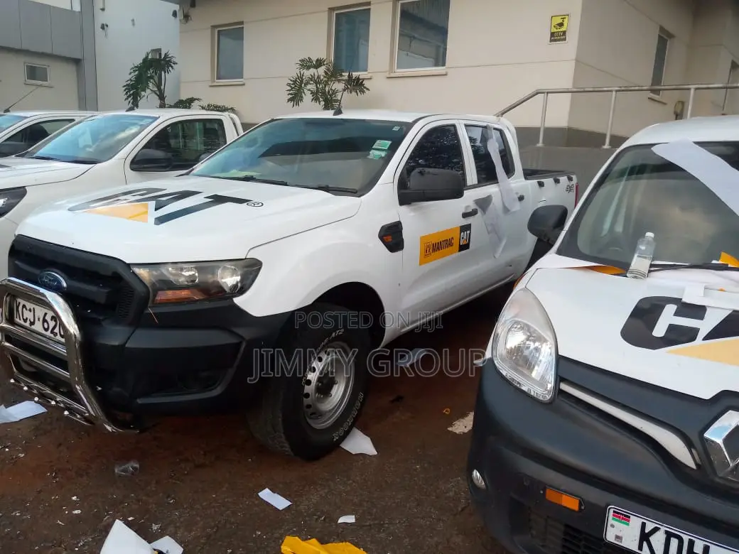 Cat Pick Up Sticker Branding