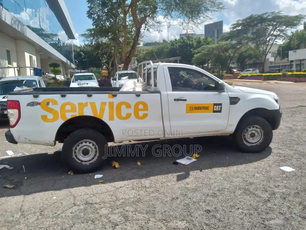 Cat Pick Up Sticker Branding