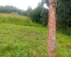 5 Acres of Land at the Slopes of Aberdare Forest