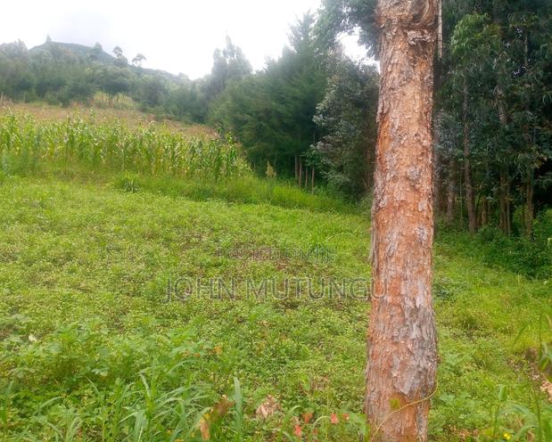 5 Acres of Land at the Slopes of Aberdare Forest