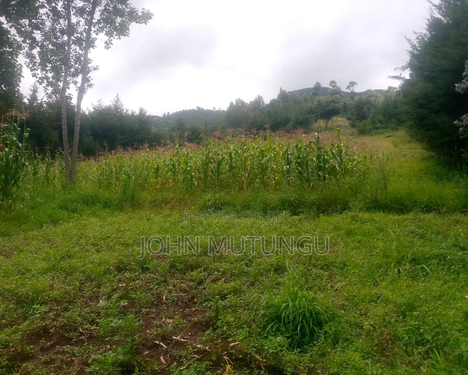 5 Acres of Land at the Slopes of Aberdare Forest