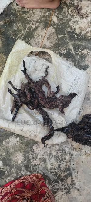 Driftwood for Aquarium - thumbnail 2