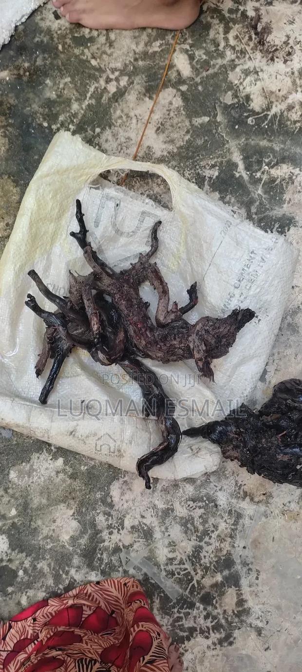 Driftwood for Aquarium - main view