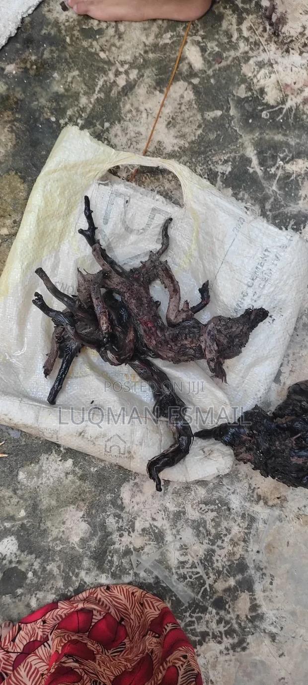 Driftwood for Aquarium - thumbnail 3