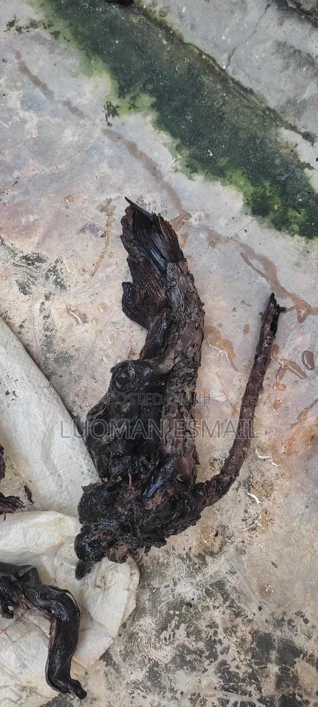 Aquarium Driftwood - thumbnail 3