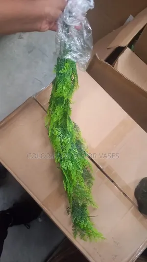 Long Classy Green Vines