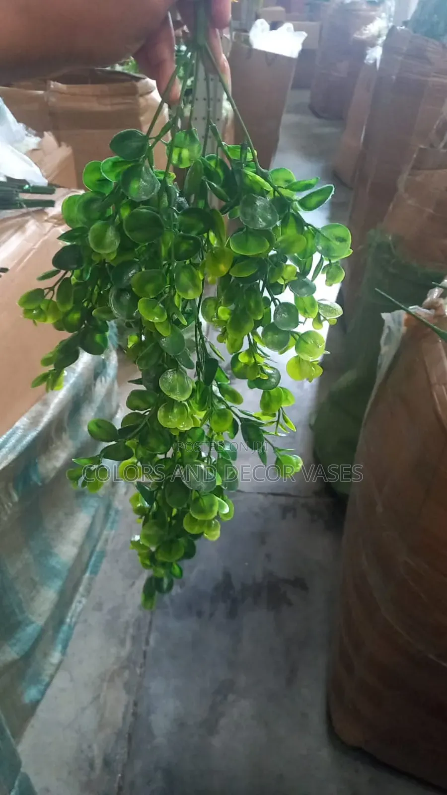 Eucalyptus Hanging Flower