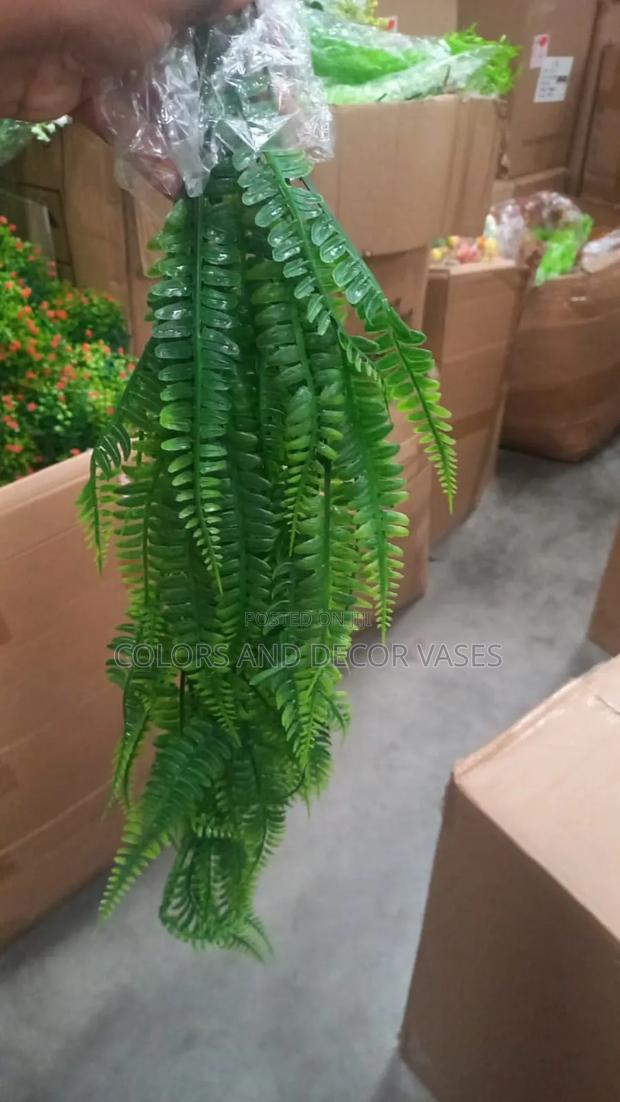 Vines Available in Variety - main view