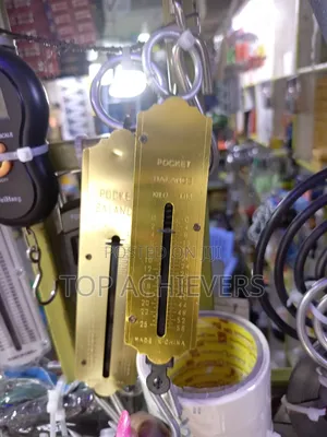 25kg Spring Hanging Scale