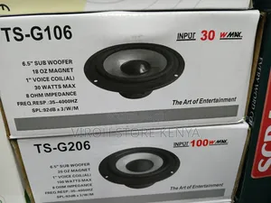 TSG 206 Midrange Speaker 6.5 Inches 100 Watts