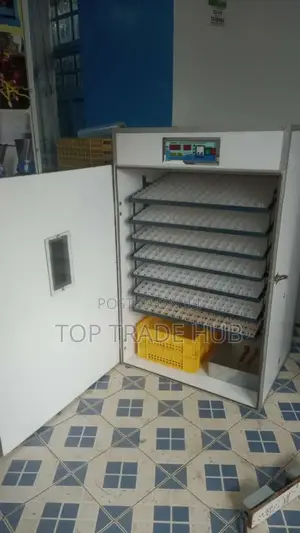 Automatic Ac/Dc Incubator 1232eggs