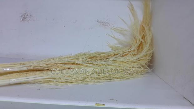 Off White Pampas Grass Available - main view