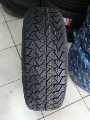 235/65 R17 Petromax Y