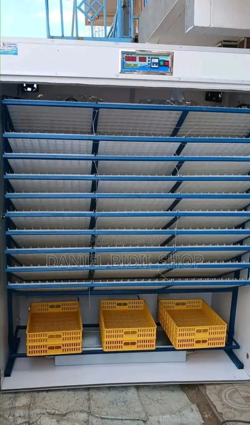 Automatic Ac/Dc Incubator 2464 Eggs Incubator