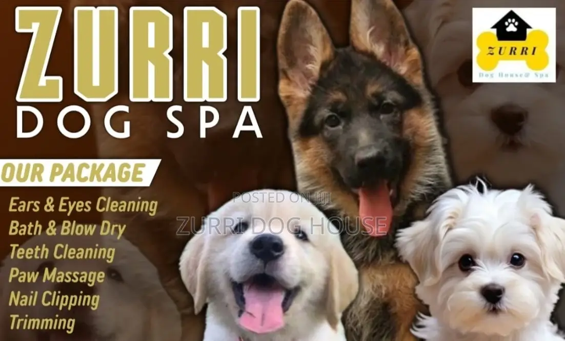 Dog Grooming Spa