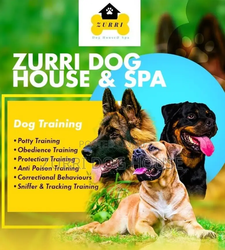 Pro Dog Trainers
