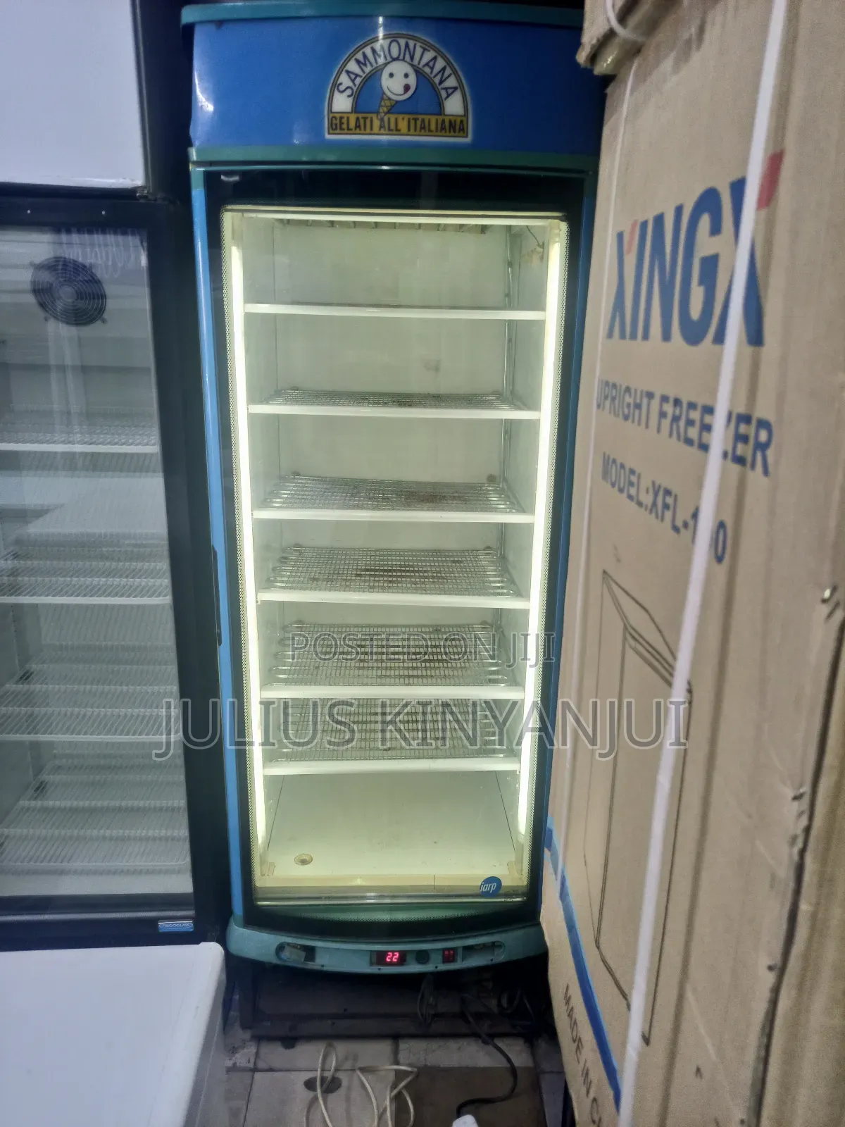 Standing Freezer