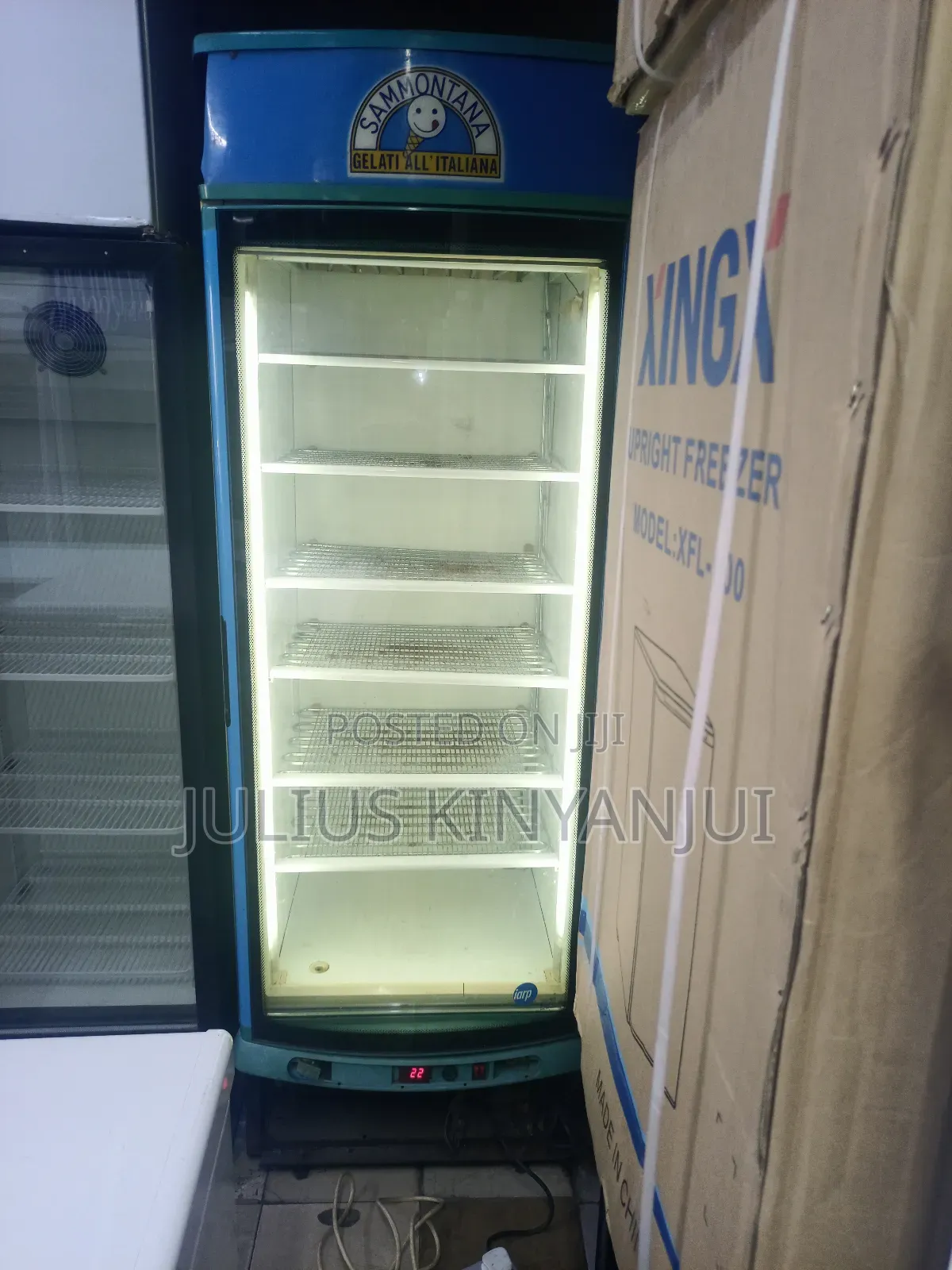 Standing Freezer