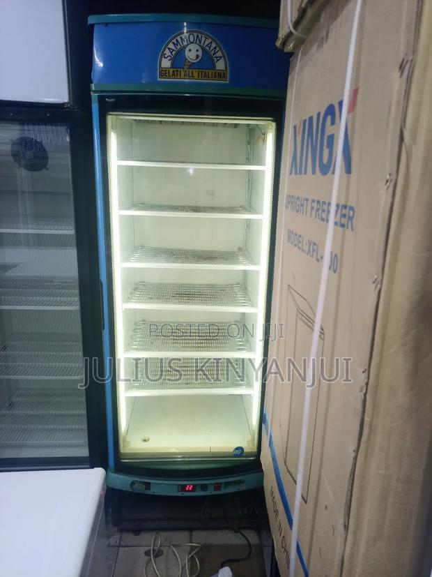 Standing Freezer - thumbnail 2