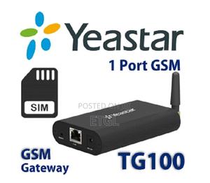 Yeastar TG100 GSM Voip Gateway - main view