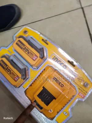 Double Ingco Battery 20v