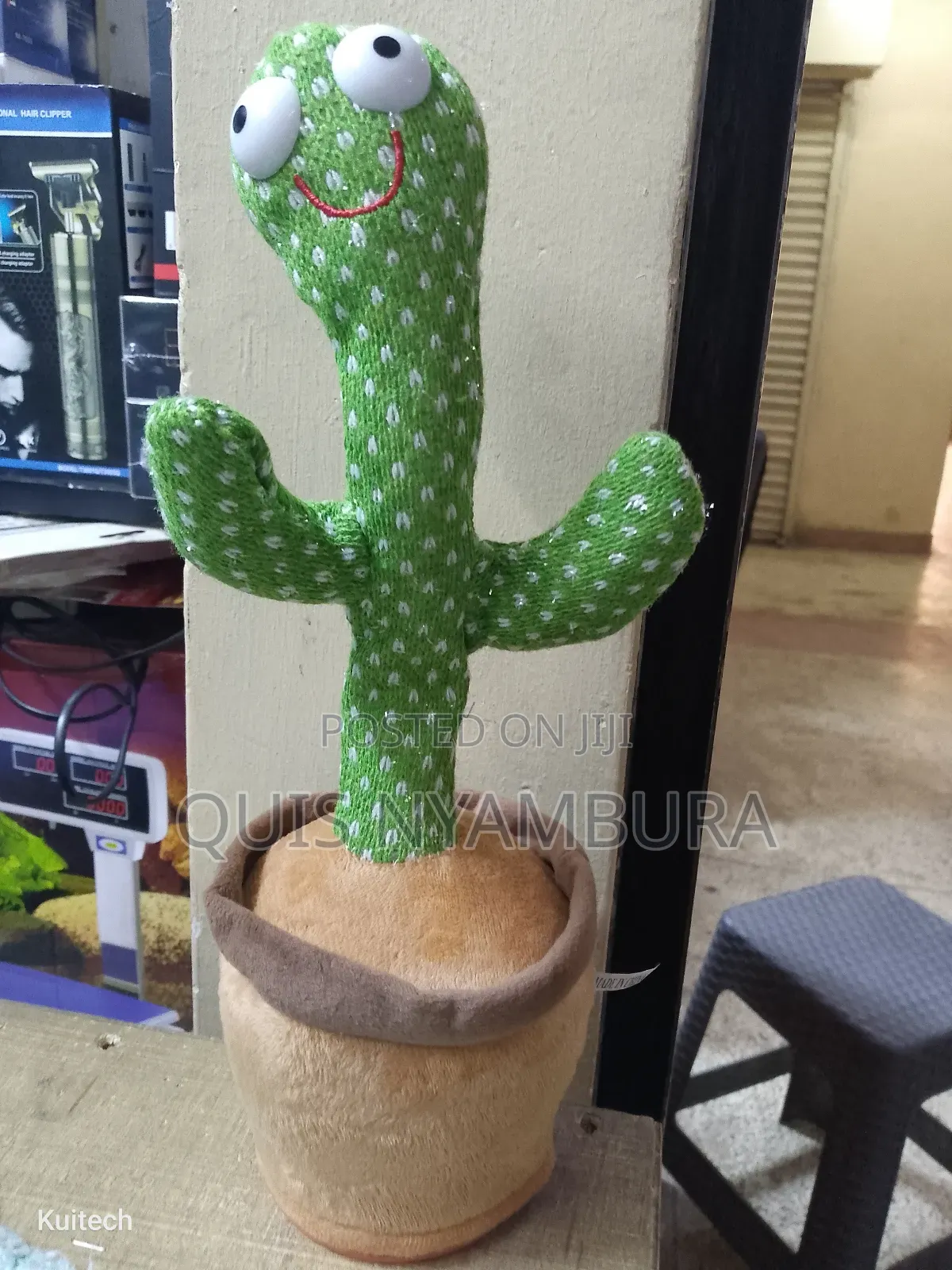 Dancing Cactus, Talking Cactus