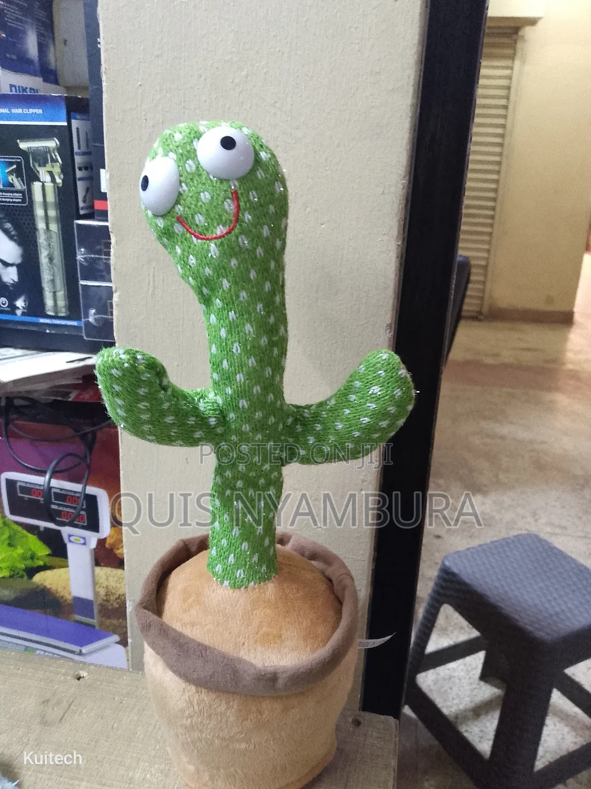 Cactus Dancing Cactus