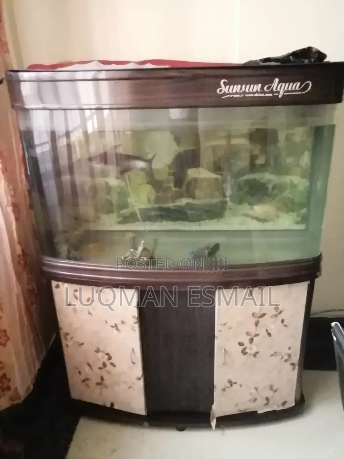 Imported Aquarium