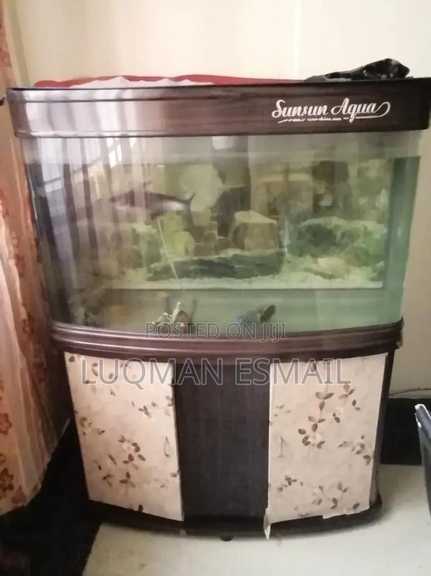 Imported Aquarium - main view