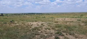 Nanyuki 1/4 Acre Plots