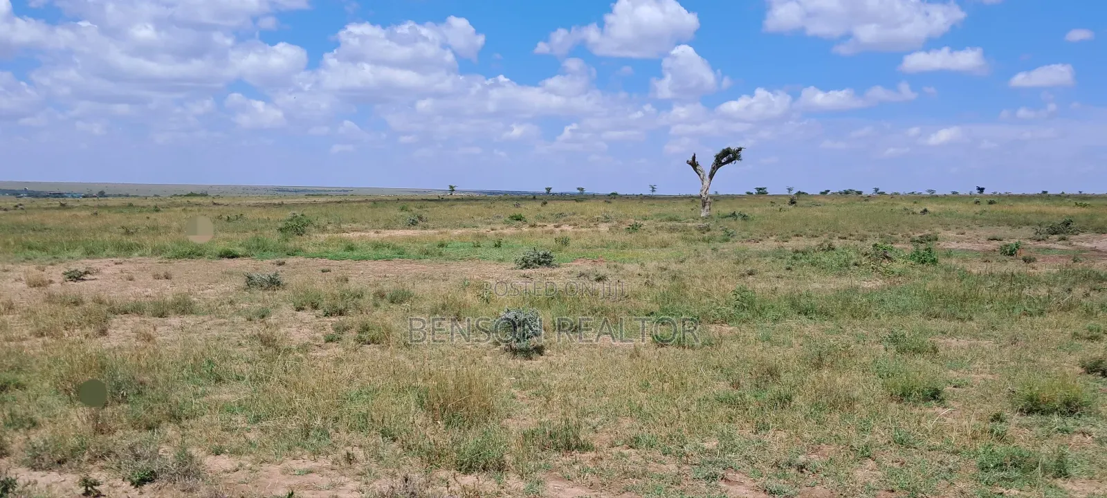 Nanyuki 1/4 Acre Plots
