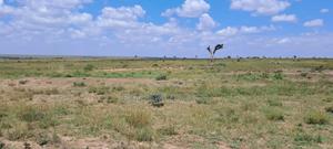 Nanyuki 1/4 Acre Plots - thumbnail 2