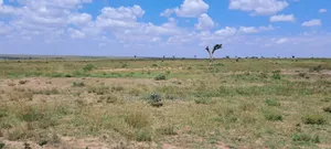 Nanyuki 1/4 Acre Plots