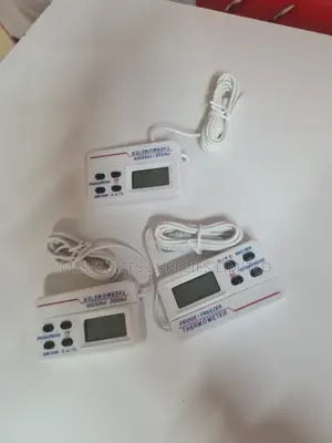 Digital Fridge Thermometer.