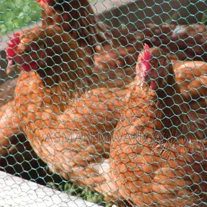 Chicken Mesh Wire