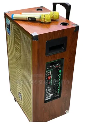 Starvoice 15” Powered Portable Speaker