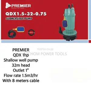 Premier 1HP 32M Lift Electric Submersible Water Pump