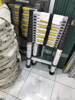 Foldable Telescopic Ladder