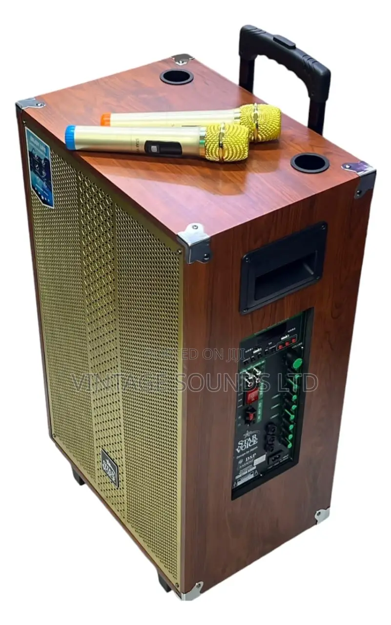 Starvoice Powered Portable Speaker / Bluetooth USB Speaker