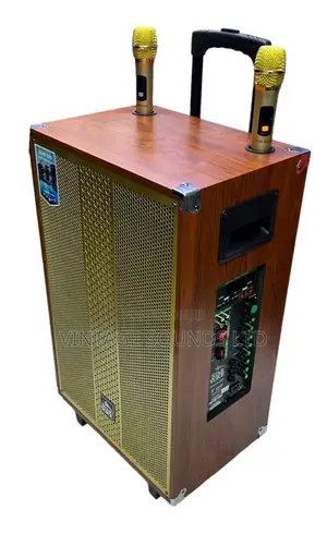Starvoice Powered Portable Speaker / Bluetooth USB Speaker