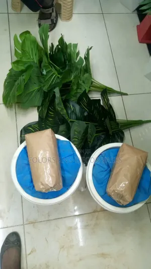 2 Sets of Vase and Plants Offer Price