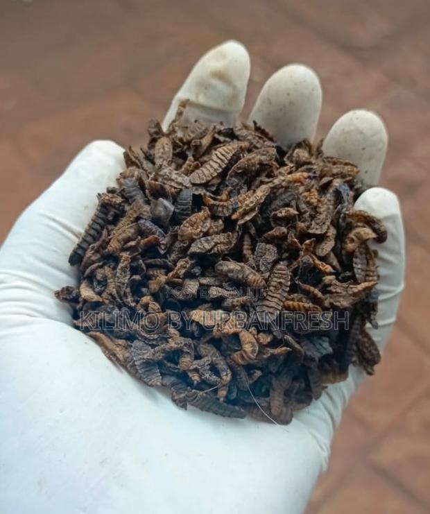 Dried BSF Larvae Feed. 50% Crude Protein. 25kgs