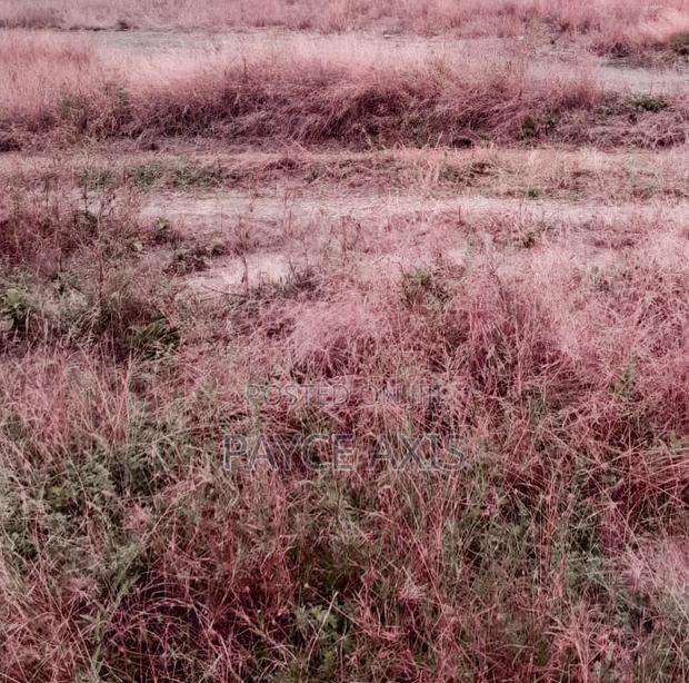 6 Acres for Sale - thumbnail 3