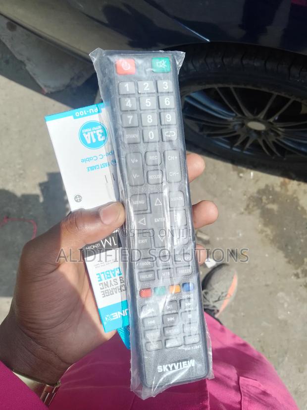 Original Skyview TV Remote - main view