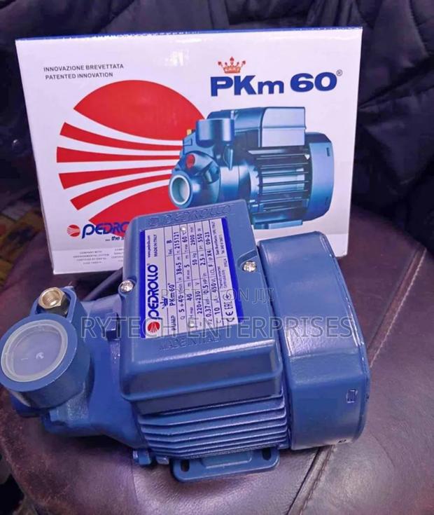 PKM 60, Pedroll Water Pump 0.5 Hp - main view
