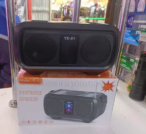 Portable Speaker