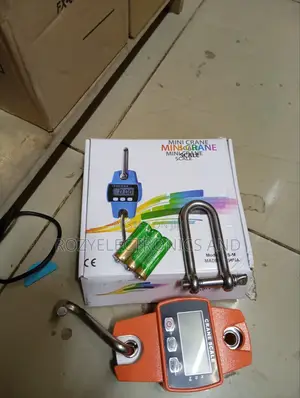 Digital Crane Scale 300kg