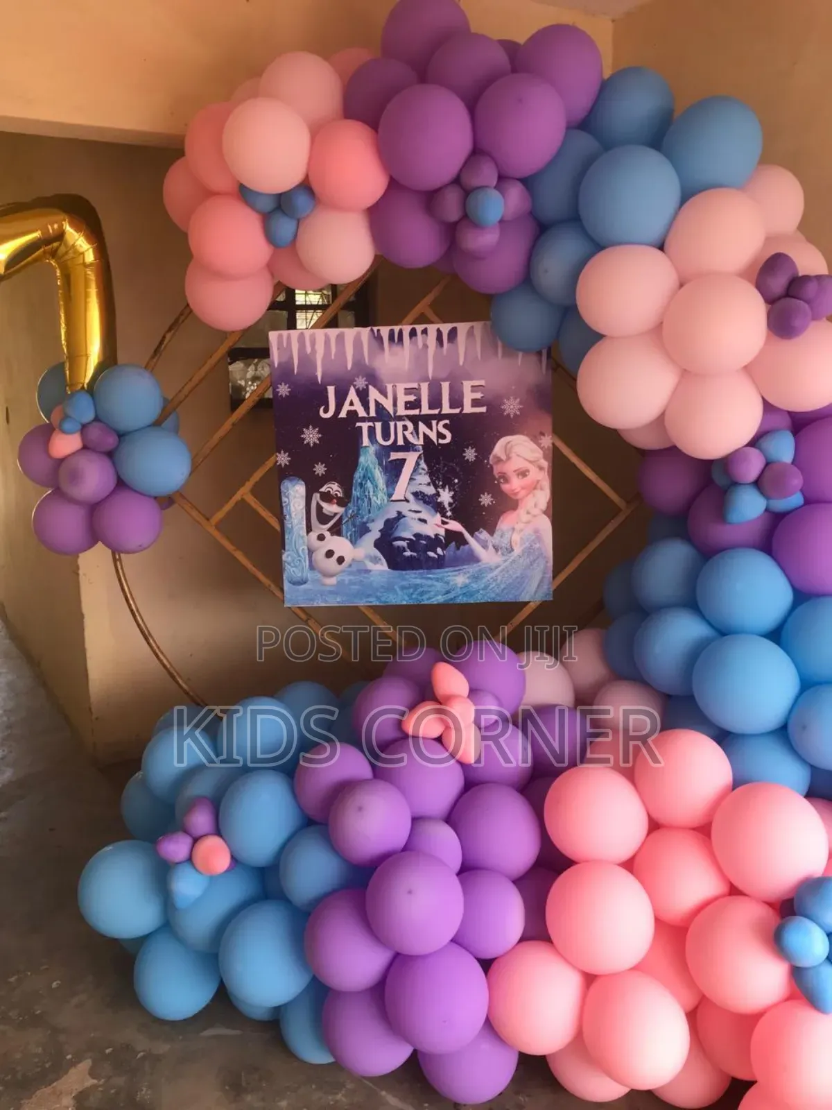 Birthday Decorations Girls Frozen Themes