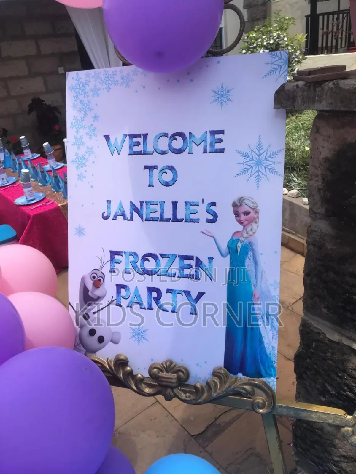 Birthday Decorations Girls Frozen Themes
