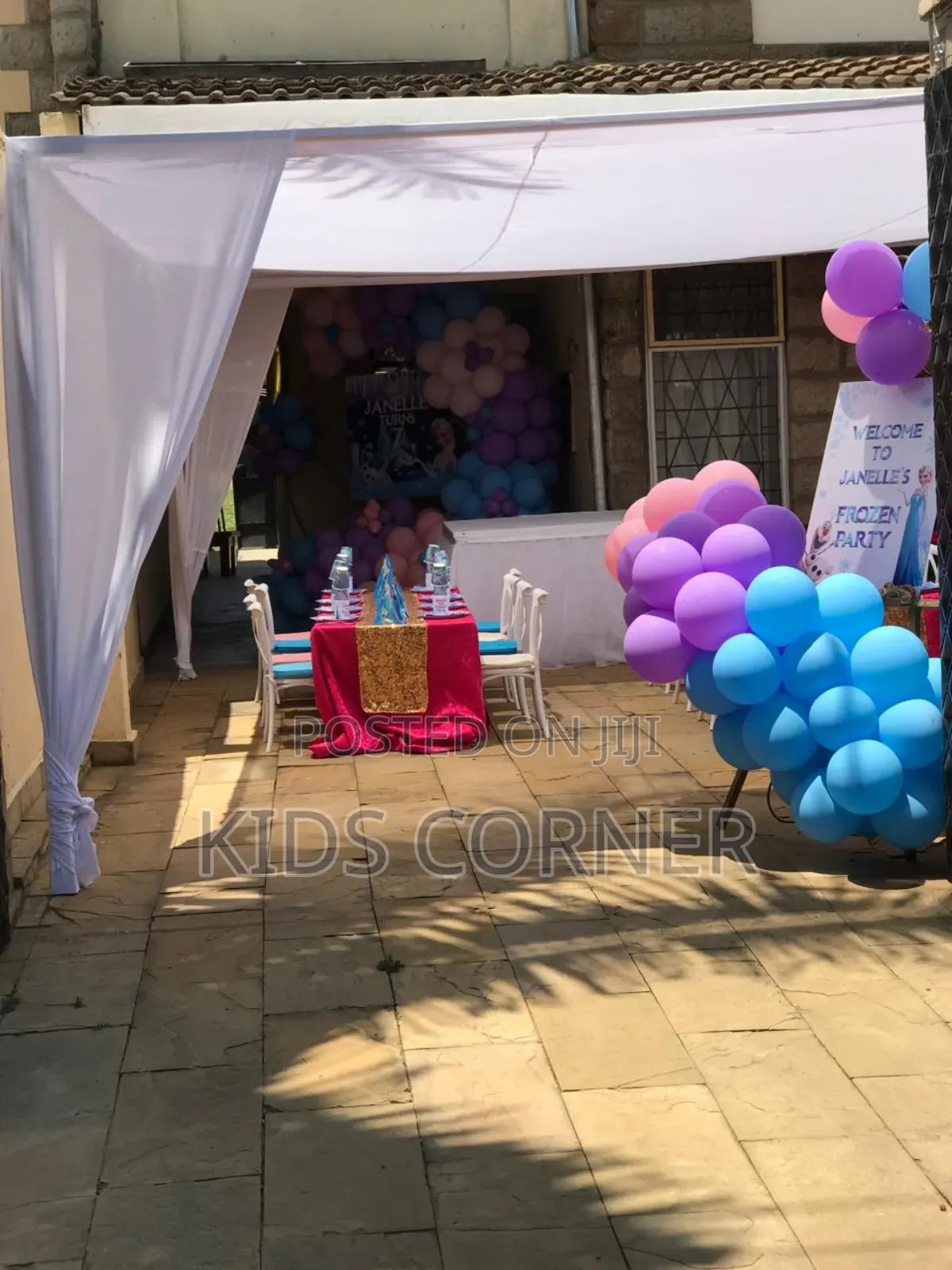 Birthday Decorations Girls Frozen Themes